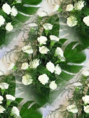 Белые гвоздики с зеленью