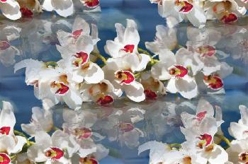 Орхидеи над поверхностью воды