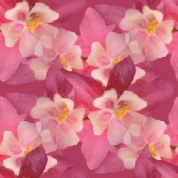 Нежные цветы на розовом