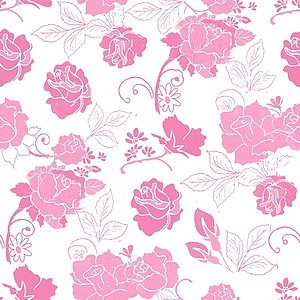 Розовые цветы с бутонами на белом