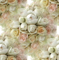 Головки белых роз