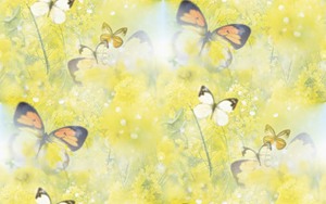 Бабочки над желтыми цветами