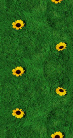 Цветы на траве