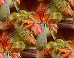 Нарядные осенние листья (3)