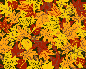 Осенние красно-желтые листья