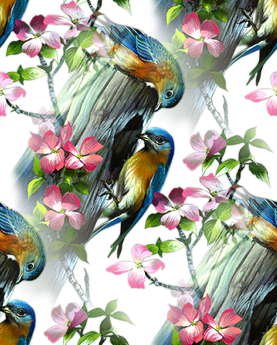 На цветущем дереве птицы