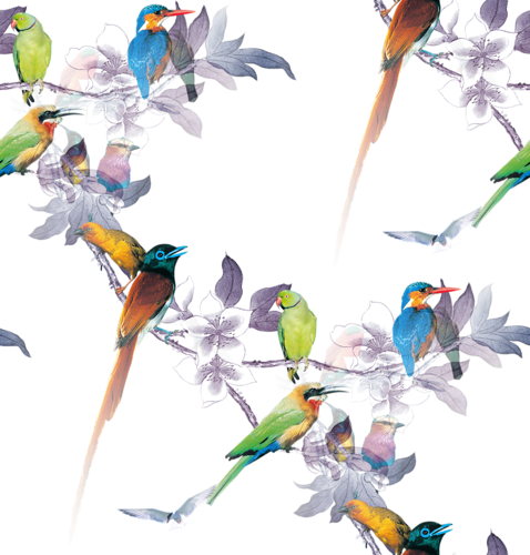 Разноцветные птицы на ветке
