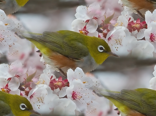Зеленые птицы среди цветов