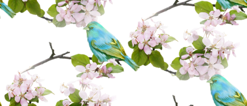 Голубовато-зеленоватые птицы среди цветов