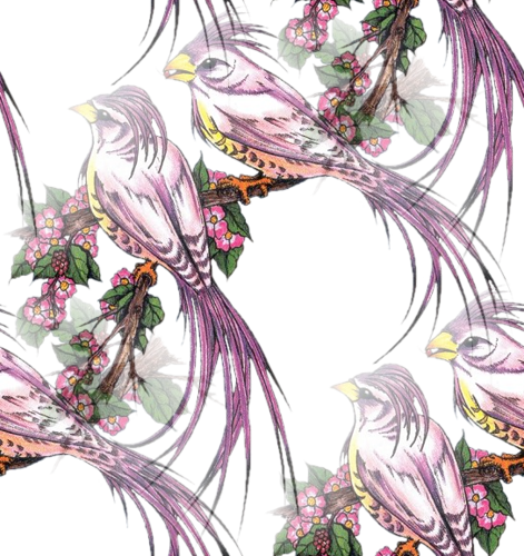 Птички с длинным хвостом на цветущем дереве