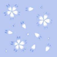 Белые цветы на голубом