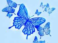 Голубой фон с синими бабочками