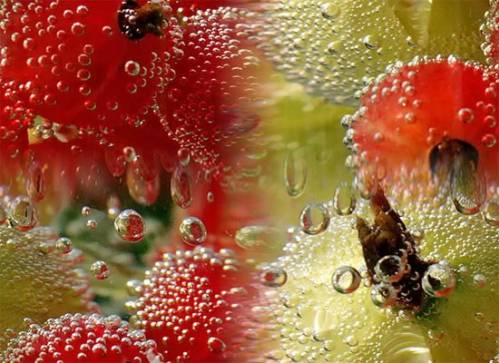 Летние ягоды в воде с пузырьками