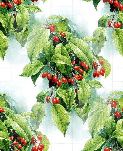 Красные ягоды с зелеными листьями на белом фоне