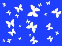 Яркие белые бабочки на синем