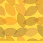 Желтые листья на желтом