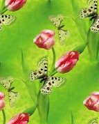 Бабочка на тюльпанах