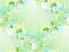 Бело-голубые цветы на зеленом