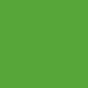 Темный Желто-зеленый однотонный