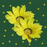 Желтые цветы на зеленом фоне