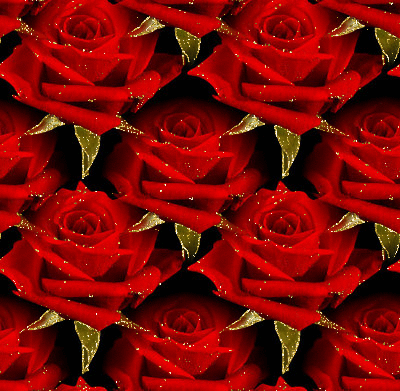 Красивые красные розы с золотом