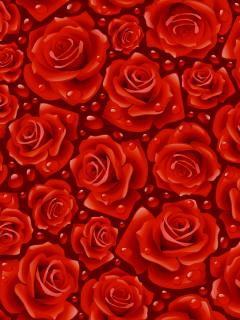 Красивые розы на красном