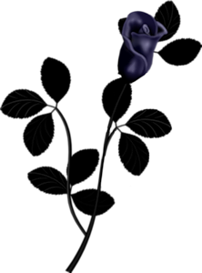 Синяя роза с черными листьями на прозрачном