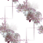 Бело-розовые цветочки