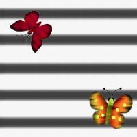 Красная и желтая бабочки на белой и серой полосах