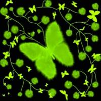 Зеленые бабочки на траве на черном