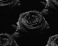 Готический фон. Черные розы