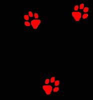 Красные кошачьи следы на черном фоне