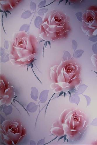 Прекрасные розовые розы