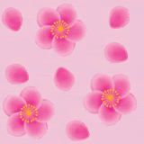 Розовые цветы на розовом