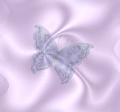 Бабочка на фиолетовом