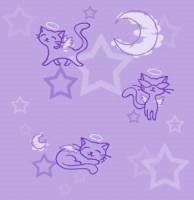 Котята, звезды и луна