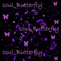 Фиолетовые красивые бабочки