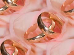 Обручальные кольца на розовом фоне