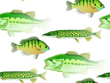Желто-зеленые рыбы