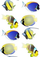 Желто-синие рыбки