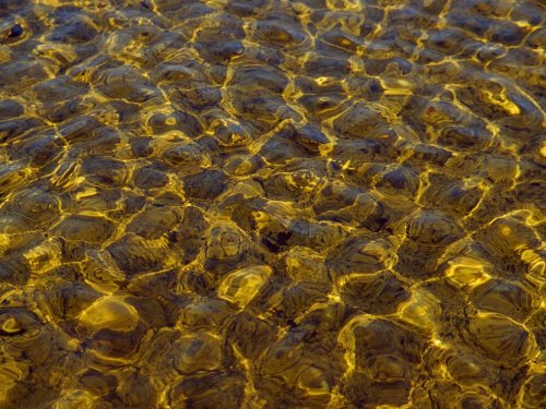 Золотые воды моря