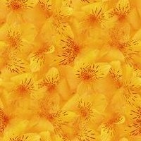 БШ Нежные желтые цветы