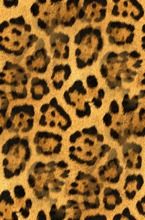 Леопардовая окраска