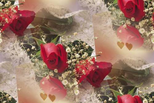 День Святого Валентина. Красные розы и сердечки на кружеве