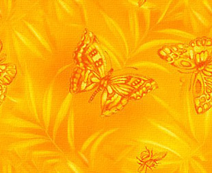 Изящная бабочки на желтом