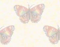 Фоны с бабочками, красивые бабочки (68)