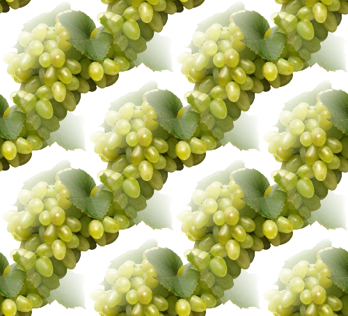 Зеленый виноград с листьями полосами на белом