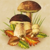 Осень. грибы