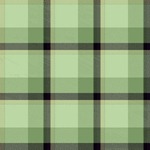 Шотландка. Сочетание зеленого с серым