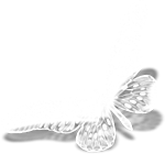 Уголок-бабочка